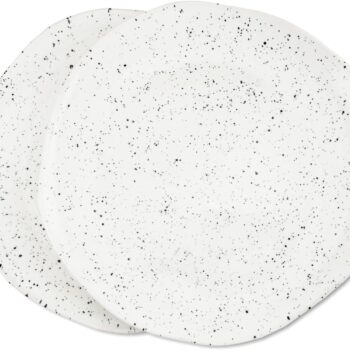 Handmade Glossy White Speckled 10.5 In Dinner Plates - Set of 2, Artisanal tableware for entree